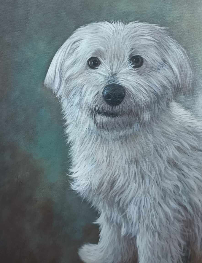 Portrait of a dog